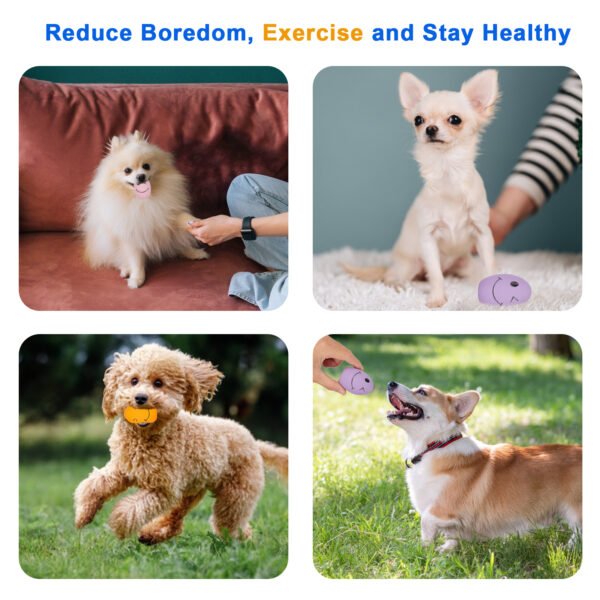 6PCS Latex Squeaky Bouncy Balls for Small Dogs – Durable Puppy Fetch Toys - 图片 3